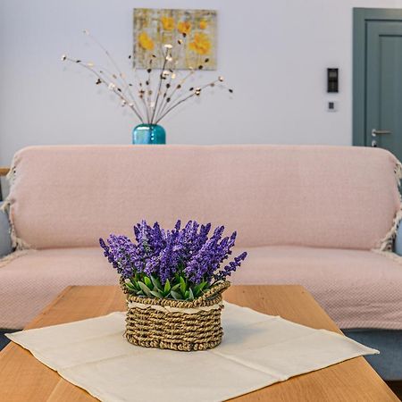 Kronstadt Olarilor Apartment 布拉索夫 外观 照片